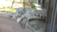 P1000002 P1000002.JPG