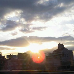 P1010034-1 P1010034-1.jpg